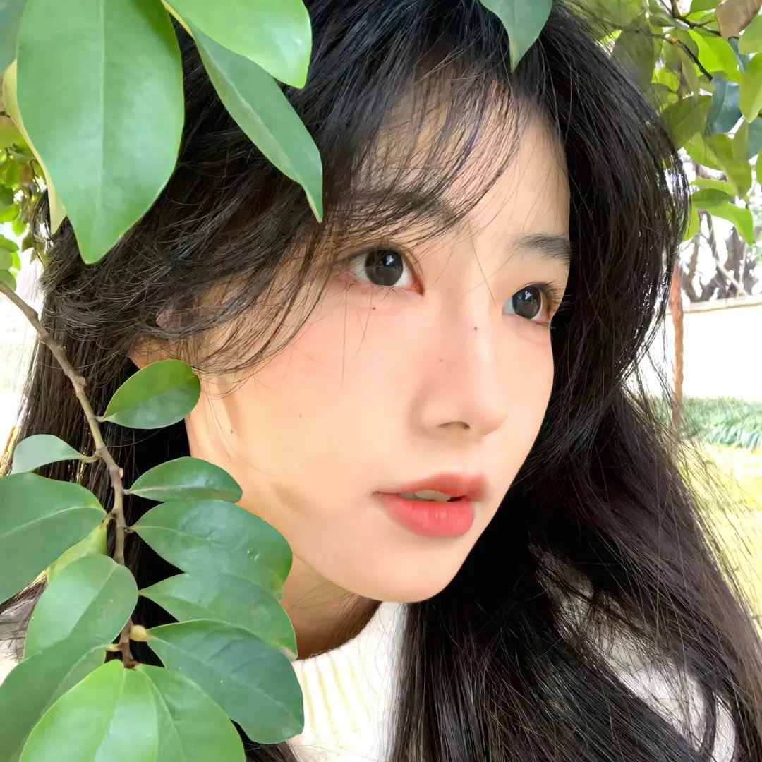 摇曳百合 暑假时光